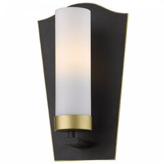 Cosmo Light настенный светильник Dublin цена и информация | Настенный светильник Конусы | kaup24.ee
