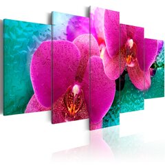 Maal - Exotic orchids цена и информация | Картины, живопись | kaup24.ee