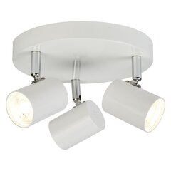 Searchlight laelamp Rollo 3173WH цена и информация | Потолочные светильники | kaup24.ee
