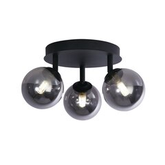 Потолочный светильник прожектор Searchlight Crosby 96913-3BK цена и информация | Потолочные светильники | kaup24.ee