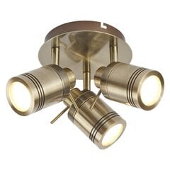 Потолочный светильник прожектор Searchlight Samson 6603AB цена и информация | Потолочные светильники | kaup24.ee