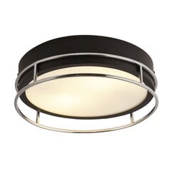 Searchlight laelamp Phoenix 62012-2CC цена и информация | Потолочные светильники | kaup24.ee