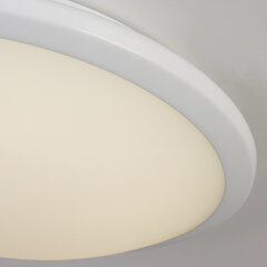 Searchlight laelamp Knutsford LED Flush 7938-30WH цена и информация | Потолочные светильники | kaup24.ee