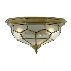 Searchlight laelamp Pisa II 1243-12 цена и информация | Потолочные светильники | kaup24.ee
