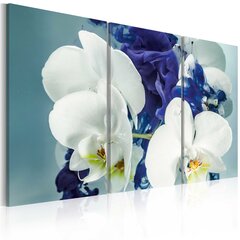 Maal - Chimerical orchids hind ja info | Seinapildid | kaup24.ee