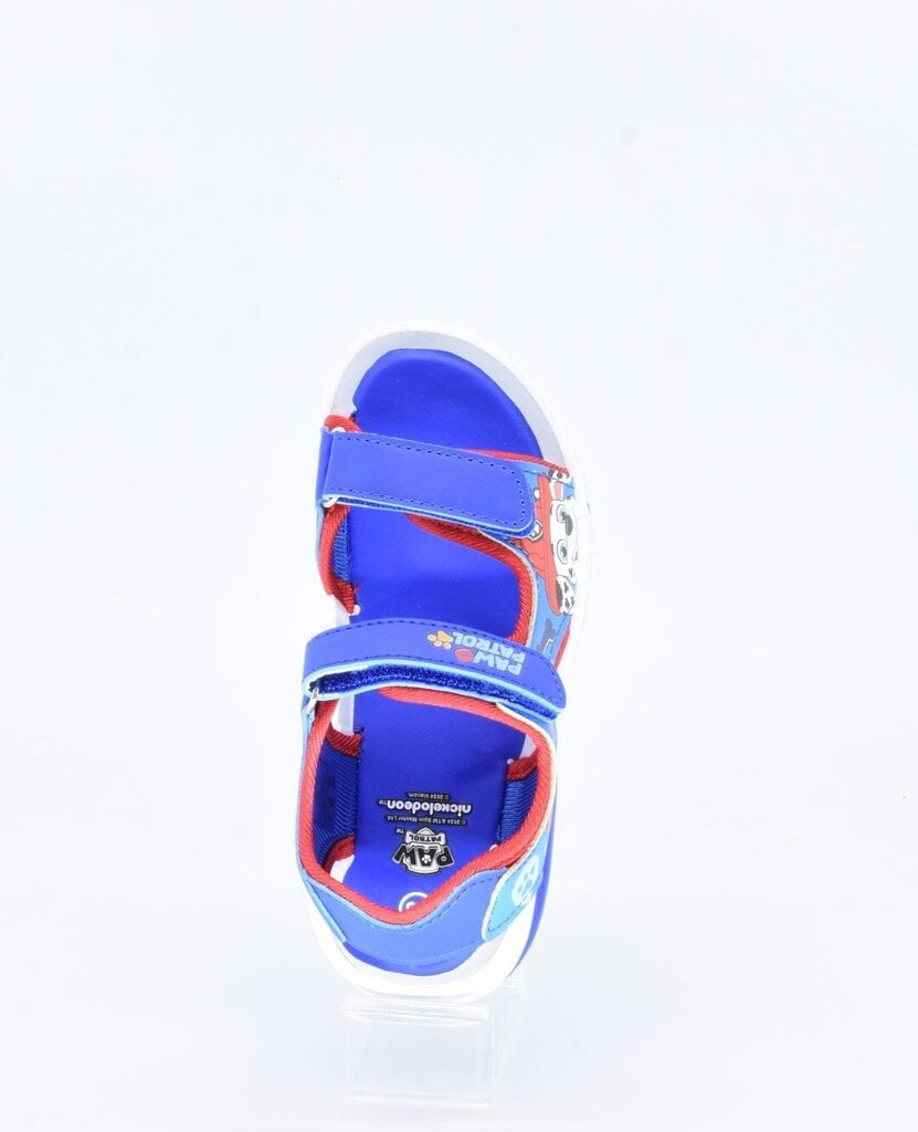 Sandaalid poistele Disney, 37901158 EIAP00002949, sinine цена и информация | Laste sandaalid | kaup24.ee