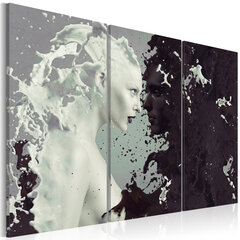 Maal - Black or white? - triptych hind ja info | Seinapildid | kaup24.ee