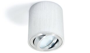 Накладной галогенный светильник Circular LED Cubo, серебро цена и информация | Потолочные светильники | kaup24.ee