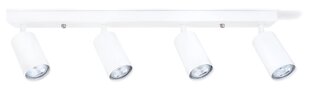 Светодиодный накладной настенно-потолочный галогенный светильник Kivi x6, белый цена и информация | Потолочные светильники | kaup24.ee