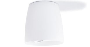Алюминиевый накладной подвижный галогенный светильник LED Besa, белый цена и информация | Потолочные светильники | kaup24.ee