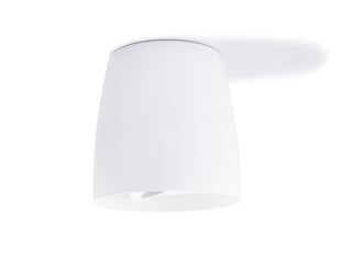 Алюминиевый накладной подвижный галогенный светильник LED Besa, белый цена и информация | Потолочные светильники | kaup24.ee