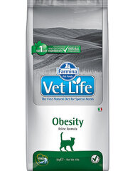 Farmina Vet Life Cat Obesity сухой корм для кошек с курицей, 10 кг цена и информация | Сухой корм для кошек | kaup24.ee