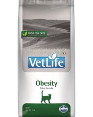 Farmina Vet Life Cat Obesity сухой корм для кошек с курицей, 5 кг цена и информация | Сухой корм для кошек | kaup24.ee