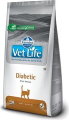 Farmina Vet Life Diabetic kuivtoit kassidele koos kanaga, 2 kg цена и информация | Сухой корм для кошек | kaup24.ee