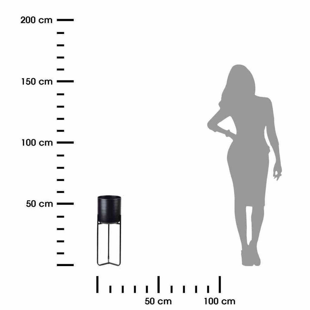 Kaanega lillestatiiv Swen Black 55 cm Metallist, kahepoolne statiiv, ideaalne kaunistus igasse interjööri või terrassile. hind ja info | Vaasid, alused, redelid lilledele | kaup24.ee
