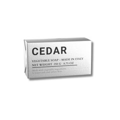 Parfümeeritud tahke seep kehale Alchimia Cedar, 250 g hind ja info | Seebid | kaup24.ee