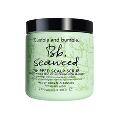 Скраб для кожи головы Bumble and bumble Seaweed, 200 мл цена и информация | Средства для укрепления волос | kaup24.ee