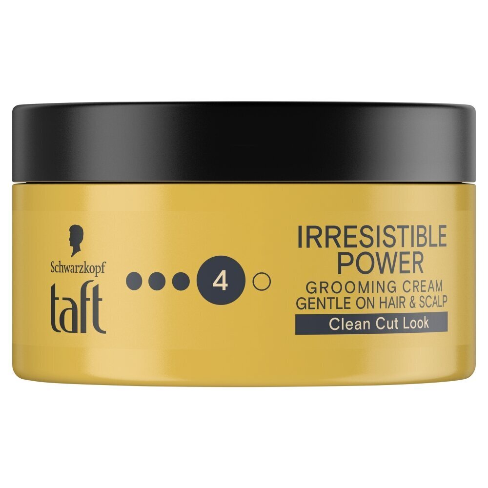 Juuksekreem Taft Irresistible Power, 100 ml hind ja info | Viimistlusvahendid juustele | kaup24.ee