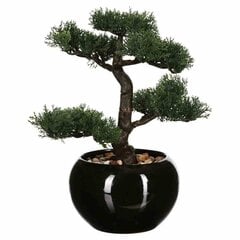 Kunsttaim bonsaipuu 36 cm hind ja info | Kunstlilled | kaup24.ee