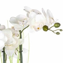 Kunsttaim Orhidee hõbedases potis 53 cm цена и информация | Искусственные цветы | kaup24.ee