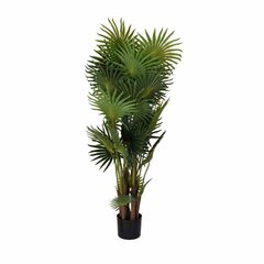 декоративная пальма 130 см цена и информация | Искусственные цветы | kaup24.ee