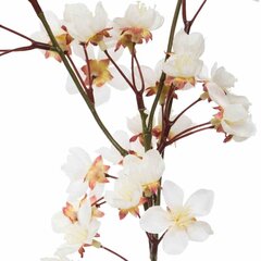 Klaasvaas valgete lilleokstega цена и информация | Искусственные цветы | kaup24.ee