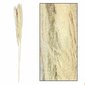 Pampasrohi ecru 150 cm 3 tk Komplekt 3 oksa kuivatatud, kohevat pampasrohtu, naturaalne, hele ecru värvi, 150 cm pikkune. цена и информация | Kunstlilled | kaup24.ee