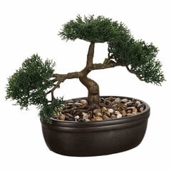 Kunsttaim Bonsai puu mustas potis 23 cm hind ja info | Kunstlilled | kaup24.ee