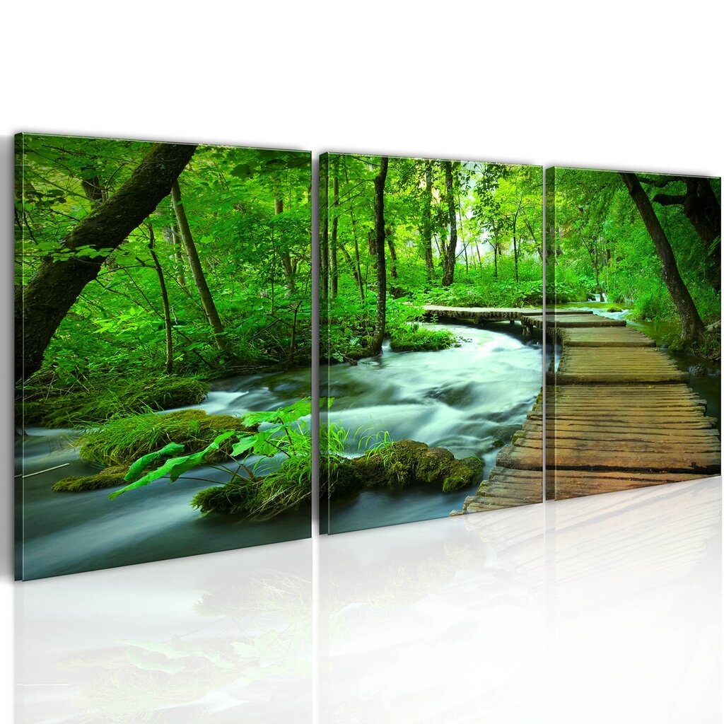 Maal - Forest broadwalk - triptych hind ja info | Seinapildid | kaup24.ee