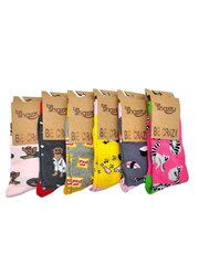Носки для девочек be Snazzy, разного цвета, 6 пар цена и информация | Носки, колготки для девочек | kaup24.ee
