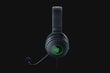 Razer RZ04-03770200-R3M1 Black цена и информация | Kõrvaklapid | kaup24.ee