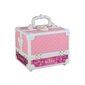 Laste ilukomplekt Boo Bear Large Pink Case Beauty Set Makeup Nails, 1 tk цена и информация | Laste ja ema kosmeetika | kaup24.ee