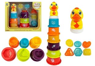 Lastele mõeldud õppepüramiid hind ja info | Imikute mänguasjad | kaup24.ee