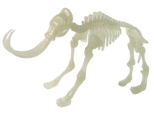 3D dinosauruse skelett munas Lean Toys, 1 tk. hind ja info | Poiste mänguasjad | kaup24.ee