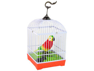 Laulev värviline papagoi, puuriga hind ja info | Tüdrukute mänguasjad | kaup24.ee