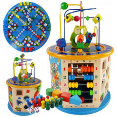 Деревянный развивающий кубик для детей цена и информация | Игрушки для малышей | kaup24.ee