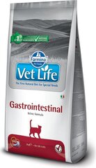 Farmina Vet Life Gastrointestinal Feline сухой корм для кошек с курицей, 2 кг цена и информация | Сухой корм для кошек | kaup24.ee