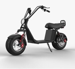 Motoroller Ego Evolution, 1000 W, 20 AH hind ja info | Elektrirollerid | kaup24.ee