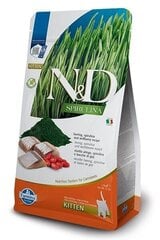 Farmina N&D Spirulina сухой корм для котят с сельдью и ягодами, 1,5 кг цена и информация | Сухой корм для кошек | kaup24.ee