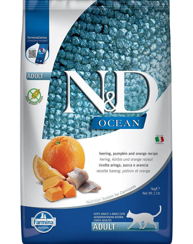 Farmina N&D Ocean kuivtoit kassidele heeringa, kõrvitsa ja apelsinidega, 5 kg hind ja info | Kuivtoit kassidele | kaup24.ee