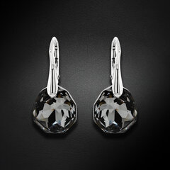 Naiste kõrvarõngad Diamond Sky „Frozen Edges (Silver Night)“ koos Swarovski kristallidega DS02A878 hind ja info | Kõrvarõngad | kaup24.ee
