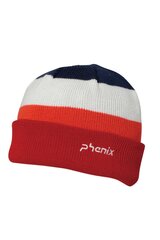 Talvemüts beebidele Phenix ESB23HW88-SP NV1, punane hind ja info | Imikute mütsid, sallid, kindad | kaup24.ee