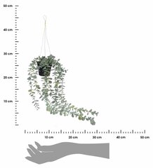 Kunsttaim potis 56 cm hind ja info | Kunstlilled | kaup24.ee