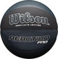 Wilson korvpall WTB10135XB цена и информация | Korvpallid | kaup24.ee