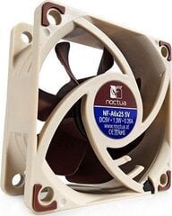 Noctua NF-A6X25 5V цена и информация | Компьютерные вентиляторы | kaup24.ee