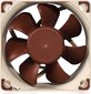 Noctua NF-A6X25 5V hind ja info | Arvuti ventilaatorid | kaup24.ee