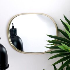 настенное зеркало 20x25,5 см цена и информация | Зеркала | kaup24.ee