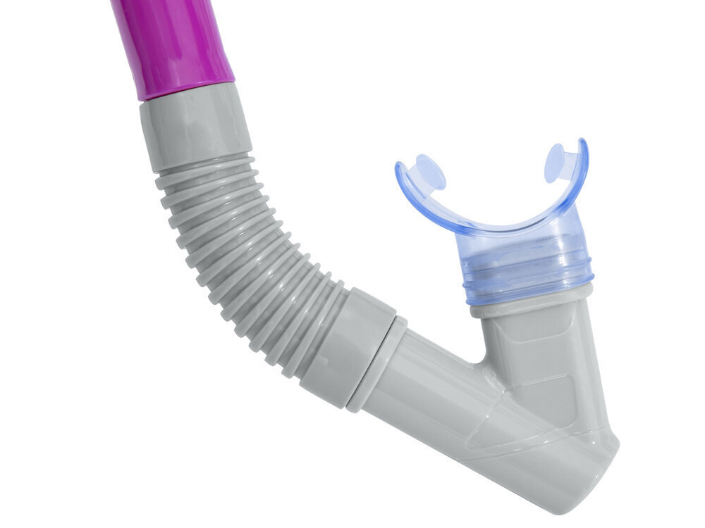 Laste sukeldumismask koos toruga, Bestway, roosa hind ja info | Mänguasjad (vesi, rand ja liiv) | kaup24.ee