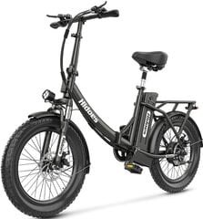 Электровелосипед Hidoes C2, 20", черный цена и информация | Электровелосипеды | kaup24.ee