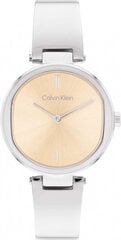 Мужские часы Calvin Klein 1685227. цена и информация | Мужские часы | kaup24.ee